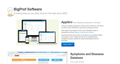 Desktop Screenshot of bigprof.com